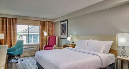 Hilton Garden Inn Anchorage Room Type - 1 KING ACC RM ROLLIN SHWR