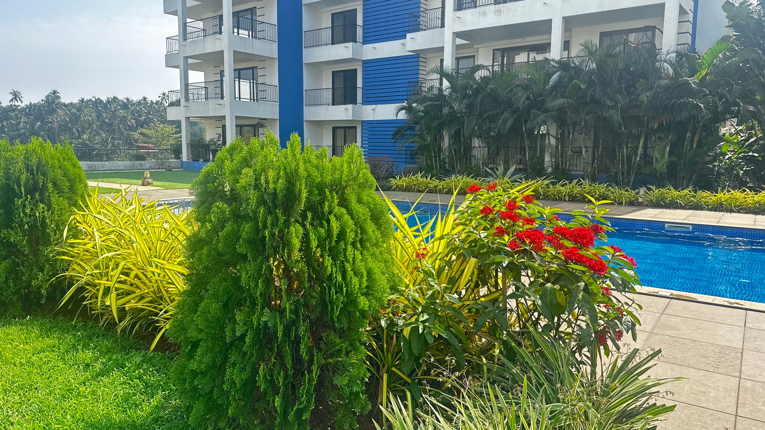 Faodail 19 Premium 1 BHK at Acron Seawinds Baga - Tap to explore photos