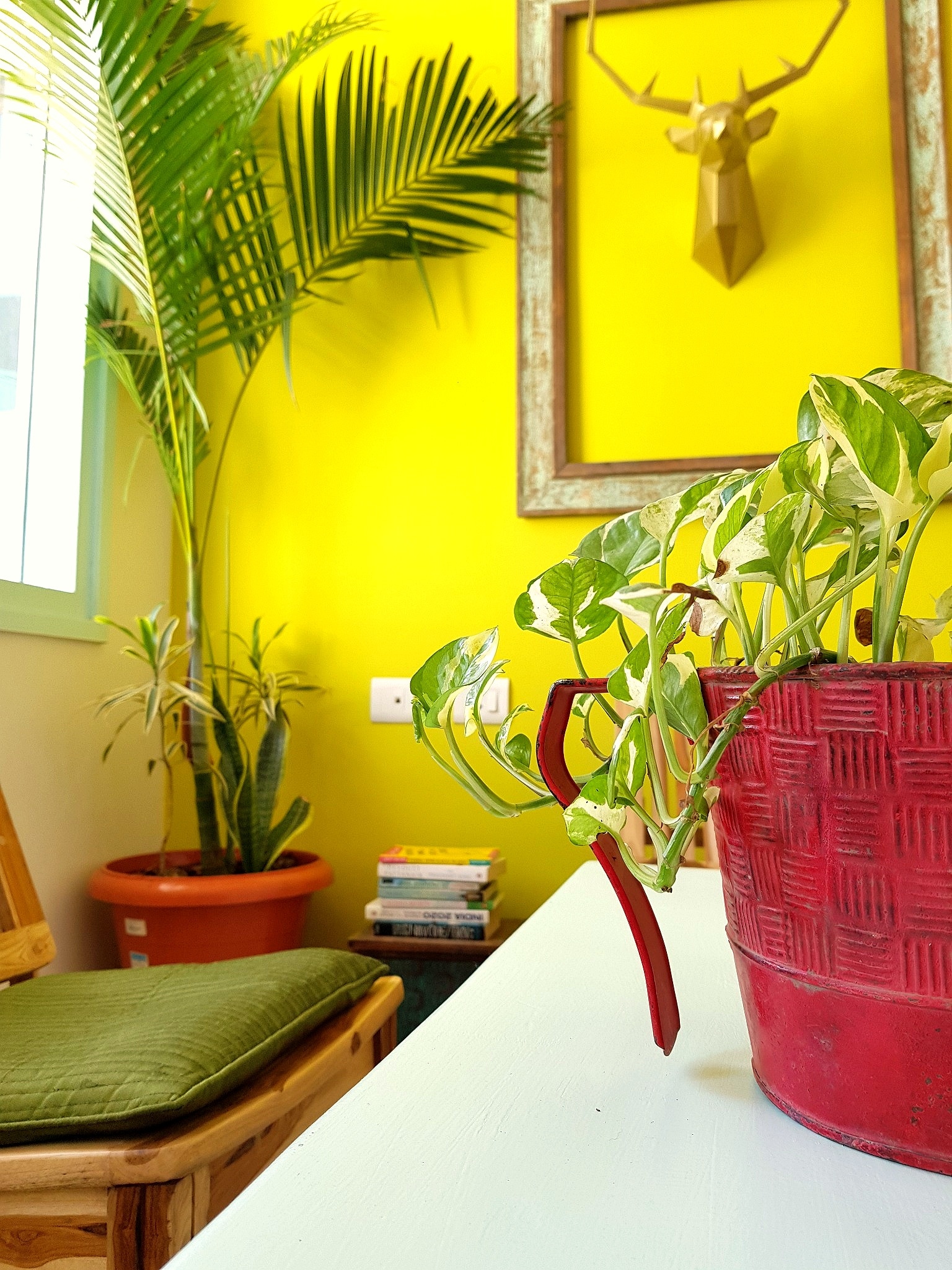 Modern Sunshine 3 BHK Villa - Tap to explore photos