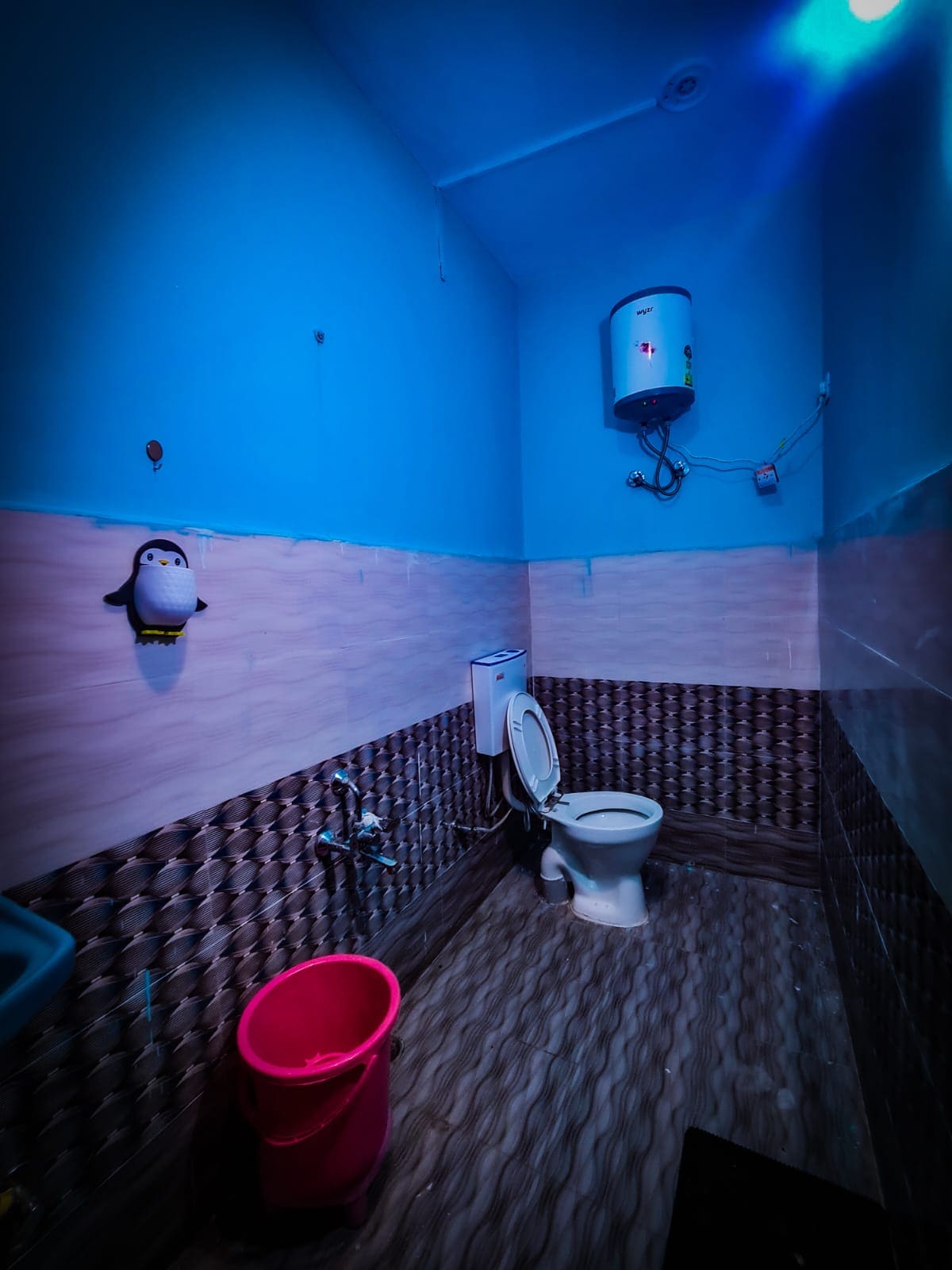 The Rawscape hostel - Tap to explore photos