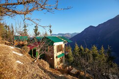 Sunny Cabin