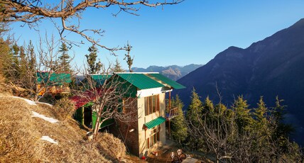 Sunny Cabin Room Type - Sunny Cabin