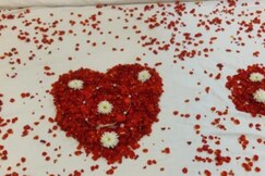 SUNBBATH beach EXOTICA