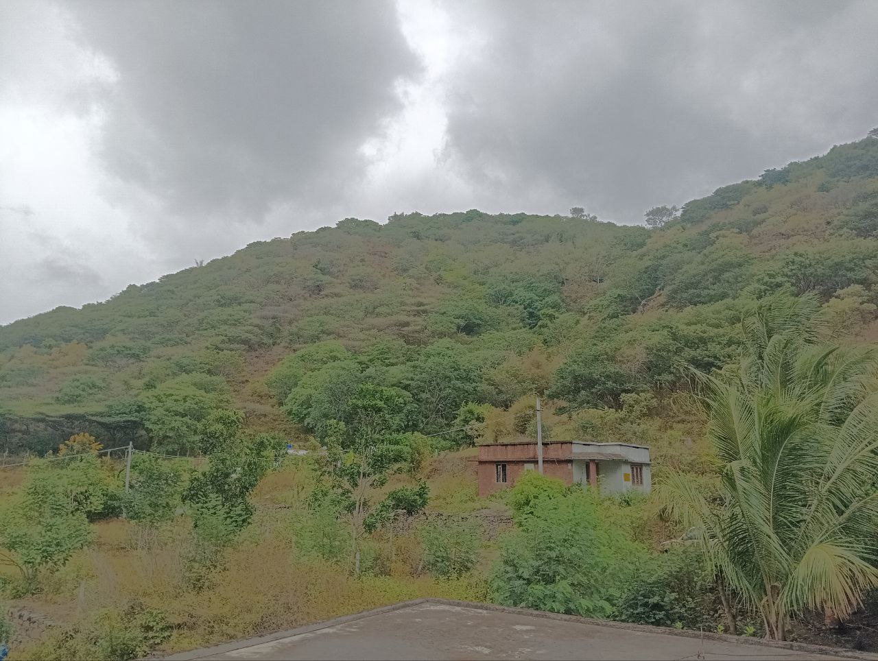 BHASURI SERVICED VILLA - Tap to explore photos