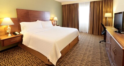 Holiday Inn MONTERREY NORTE Room Type - 1 King Standard