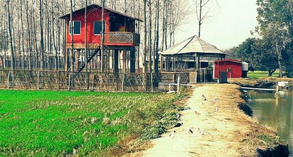 Chahal Tree Farm House - Farm Stay in Amritsar Room Type - tree house ( NRI da ghar)