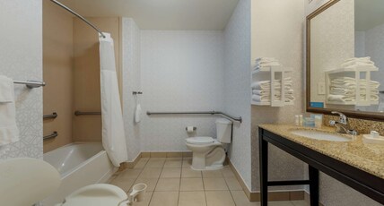 HAMPTON INN ALAMOSA CO Room Type - 1KNG MOB HEAR ACC W TUB NS