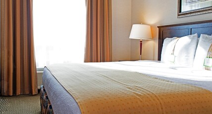 Holiday Inn & Suites WEST EDMONTON Room Type - 1 King Bed Standard Mobil Accessible tub