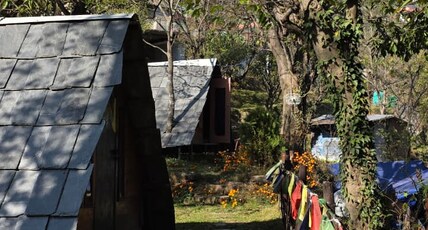 Urban camps McLeod ganj Room Type - APLINE HUT with mountain view @ campsite