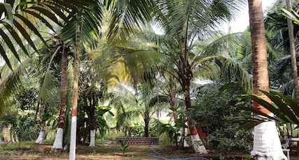 Vanashree cottage , Akshi alibaug (max 15 ppl ) Room Type - Vanashree cottage , Akshi alibaug (max 15 ppl ) Vanashree cottage , Akshi alibaug (max 15 ppl ) Room Type - Vanashree cottage , Akshi alibaug (max 15 ppl )