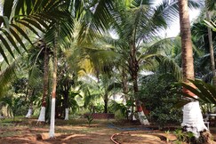 Vanashree cottage , Akshi alibaug (max 15 ppl )