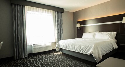 Holiday Inn & Suites - Joliet Southwest Room Type - 1 King Bed 1 Bedroom Suite