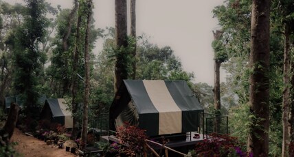 Wonderwoods Camp Munnar Room Type - Bedroom 2