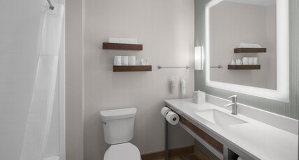 Hilton Garden Inn San Marcos Room Type - 1 KING ACC RM W BATHTUB