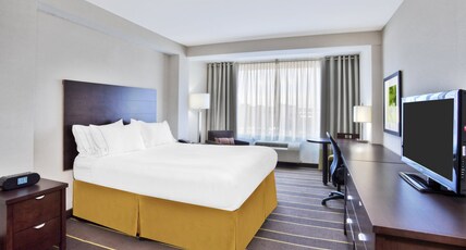 Holiday Inn Express SAULT STE MARIE Room Type - 1 Queen Standard