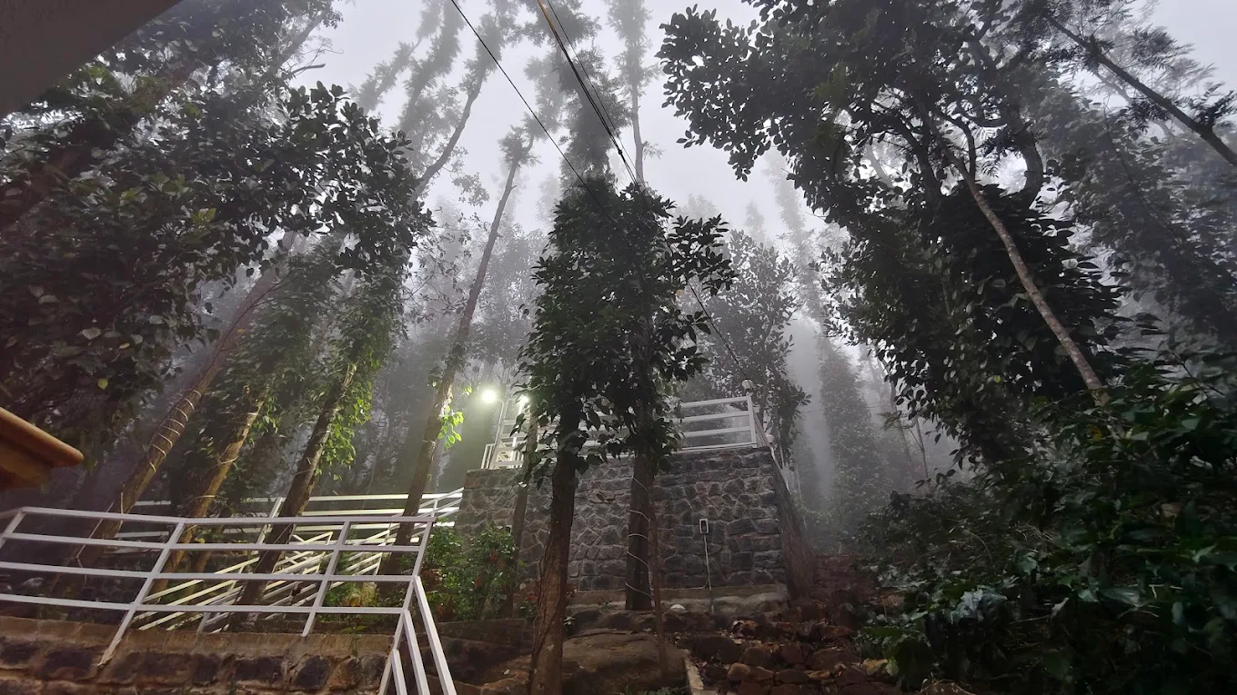 Green Haven Resorts Room Type - Green Haven Resorts