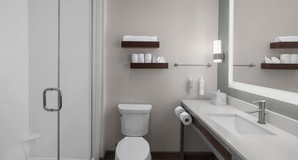 Hilton Garden Inn San Marcos Room Type - 1 KING PREMIUM