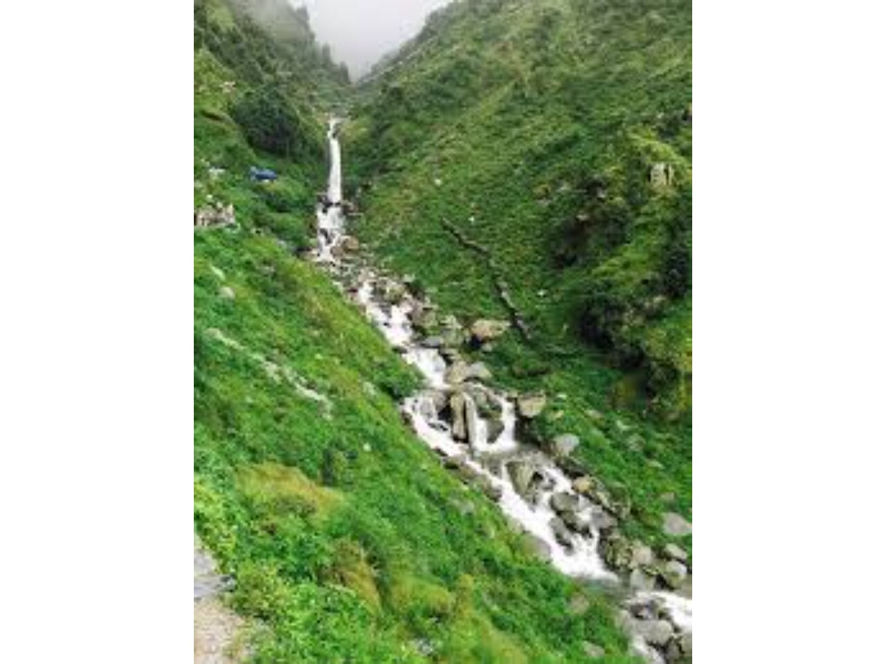 Hotel Himani Chamunda - Tap to explore photos