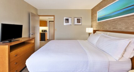 Holiday Inn Hotel & Suites BOLINGBROOK Room Type - 1 King Suite Mobility Accessible Tub