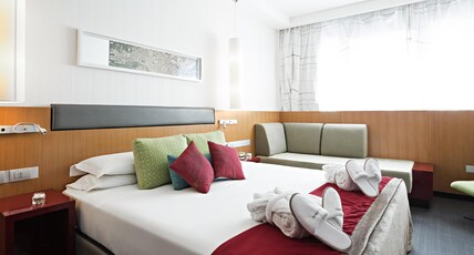 Novotel Roma Eur Room Type - Standard Room with balcony