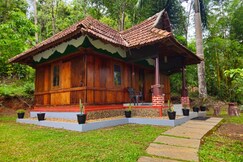 Creek In The Wild Resort