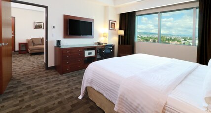 Holiday Inn Leon Plaza Mayor, an IHG Hotel Room Type - 1 King 1 Bedroom Suite