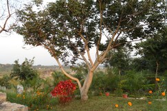 Address of Palm Pair Resort