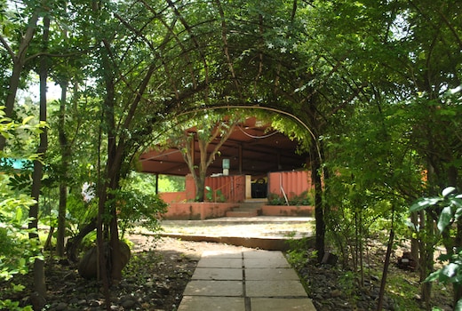 Wild Camp Resort