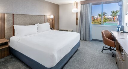 Holiday Inn Dublin-Pleasanton Room Type - 1 King Standard