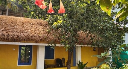 Chiku House Room Type - Chiku House