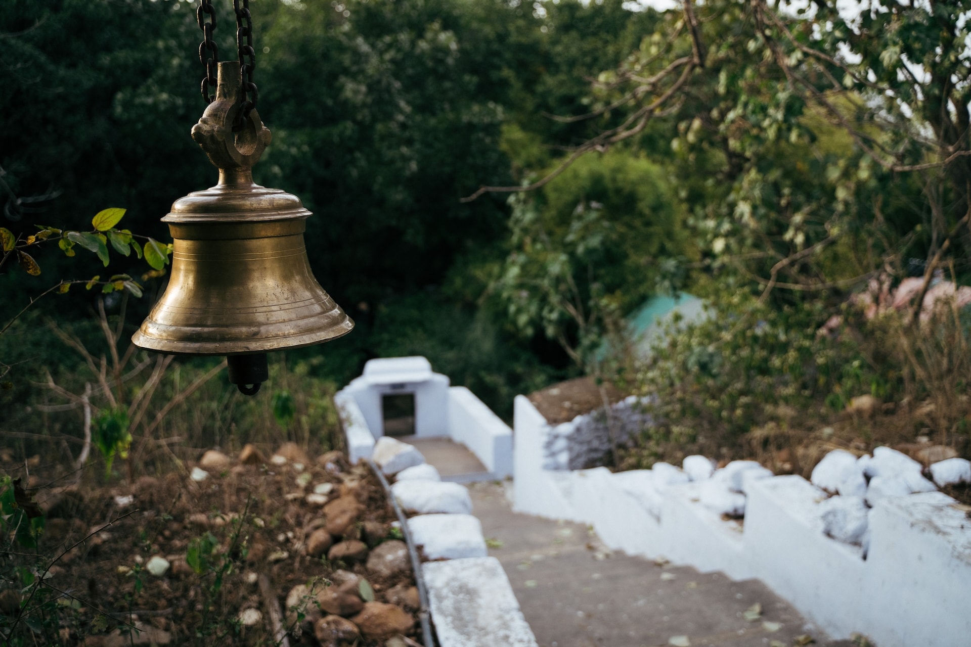Sariska Safari Lodge - Tap to explore photos