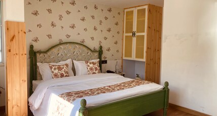 Naina Lodge Room Type - Naina Lodge (Green Room - 2nd floor)
