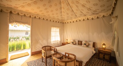 Madho Bagh | Rooms in a Camp Room Type - Luxurious Tents Madho Bagh | Rooms in a Camp Room Type - Luxurious Tents