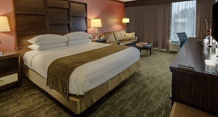 DoubleTree by Hilton Hotel Decatur Riverfront Room Type - 1 KING BED WITH SOFABED