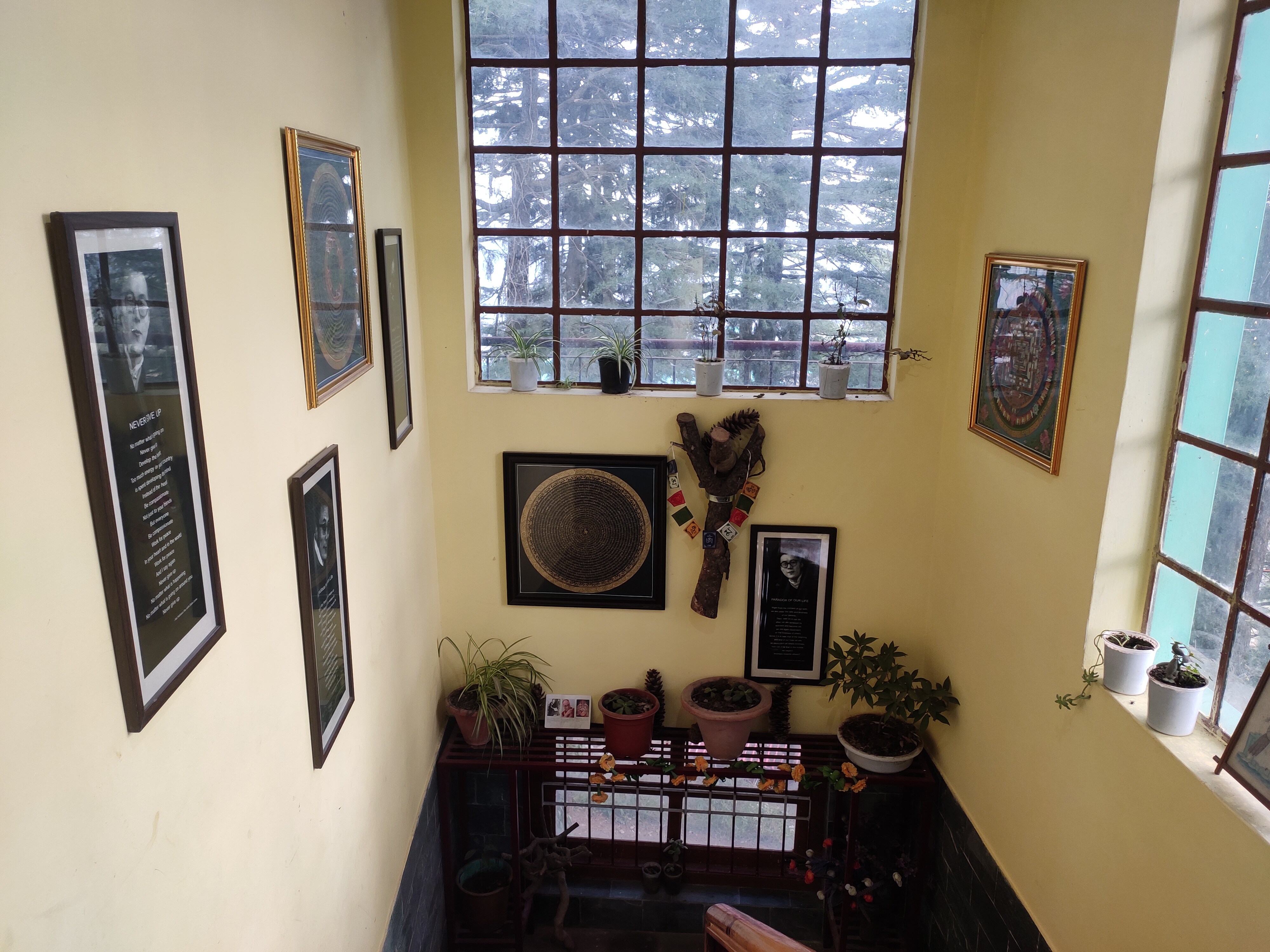 Main gallery