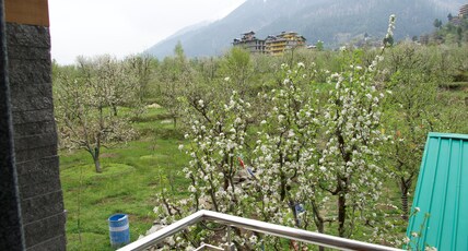 Navaura Stays & Cafe, Old Manali Room Type - Apple Orchard View with Private Balcony