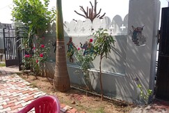 The Forest View Resort