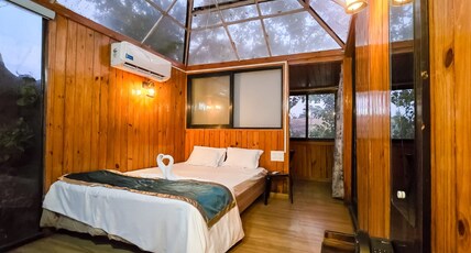 Happy mornings Room Type - Tree House