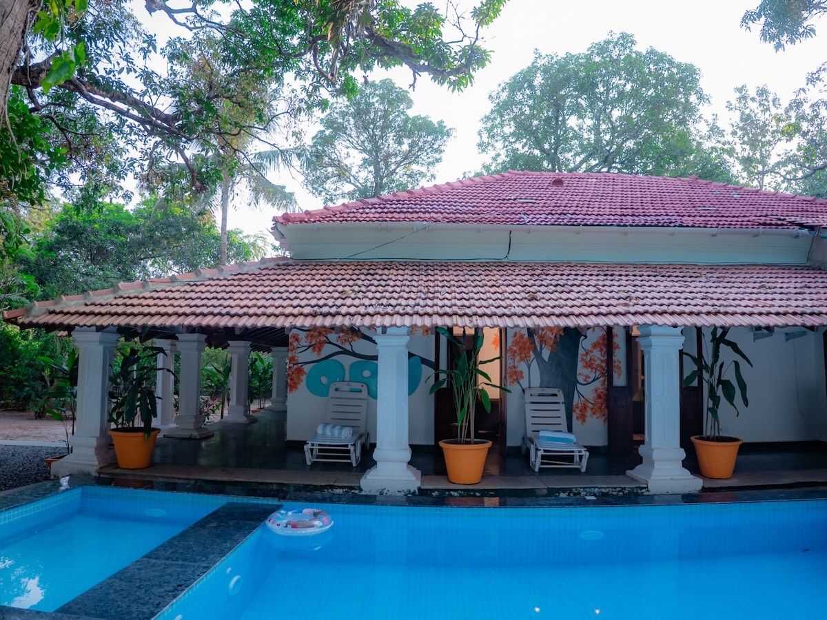 Orange roots - Tap to explore photos