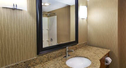 Holiday Inn Hotel & Suites BOLINGBROOK Room Type - 2 Queen Standard