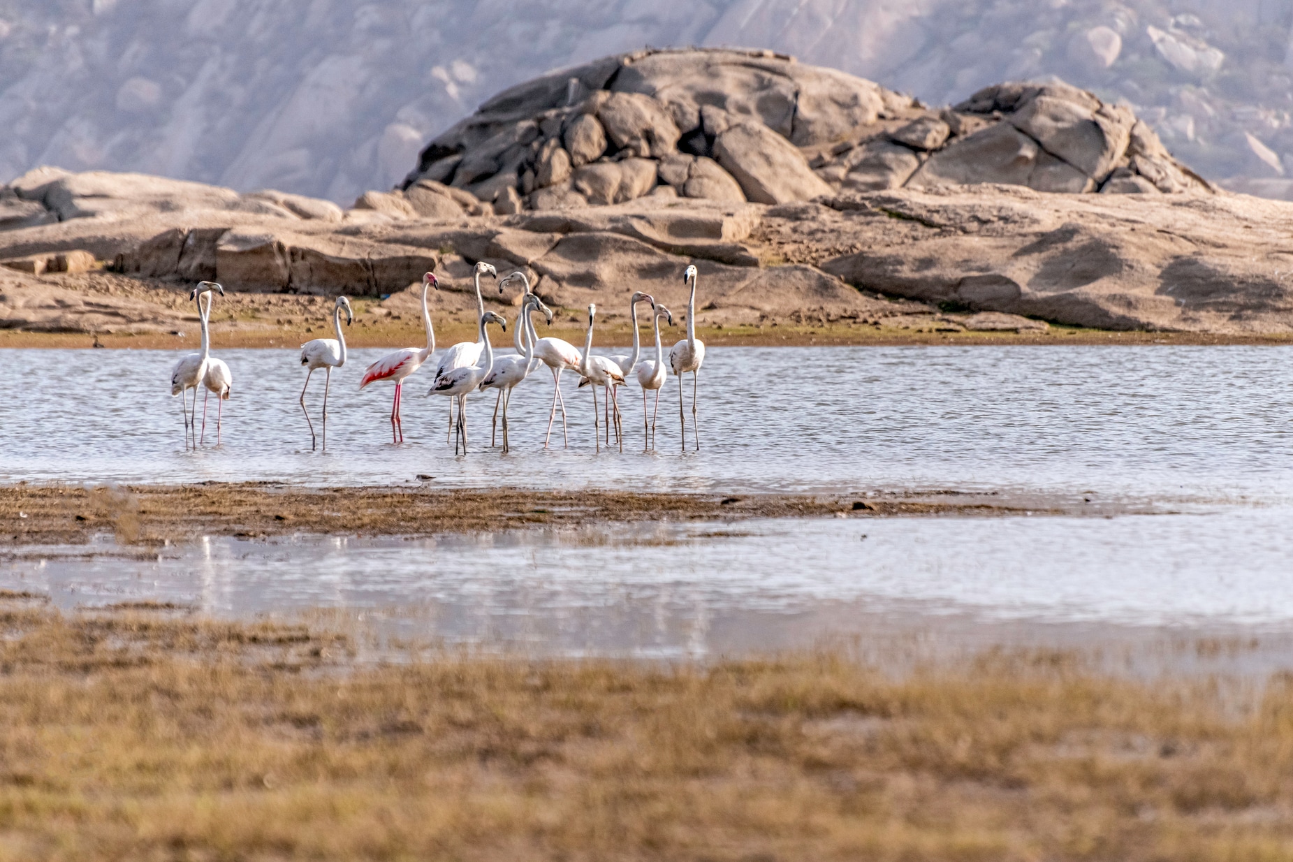 Lord's Eco Inn Jawai-Sumerpur - Tap to explore photos