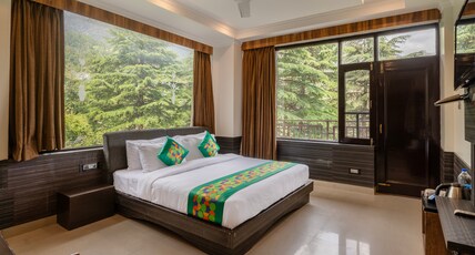 Treebo Holiday Hill Room Type - Economy Room