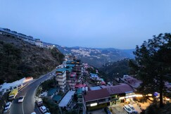 Daffodils The White House