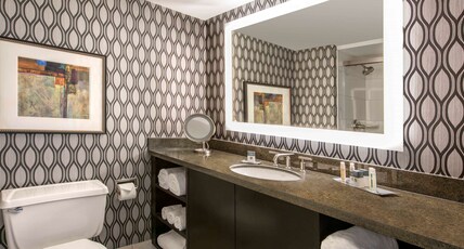 DoubleTree by Hilton Chicago - Schaumburg Room Type - 1 KING BED NONSMOKING