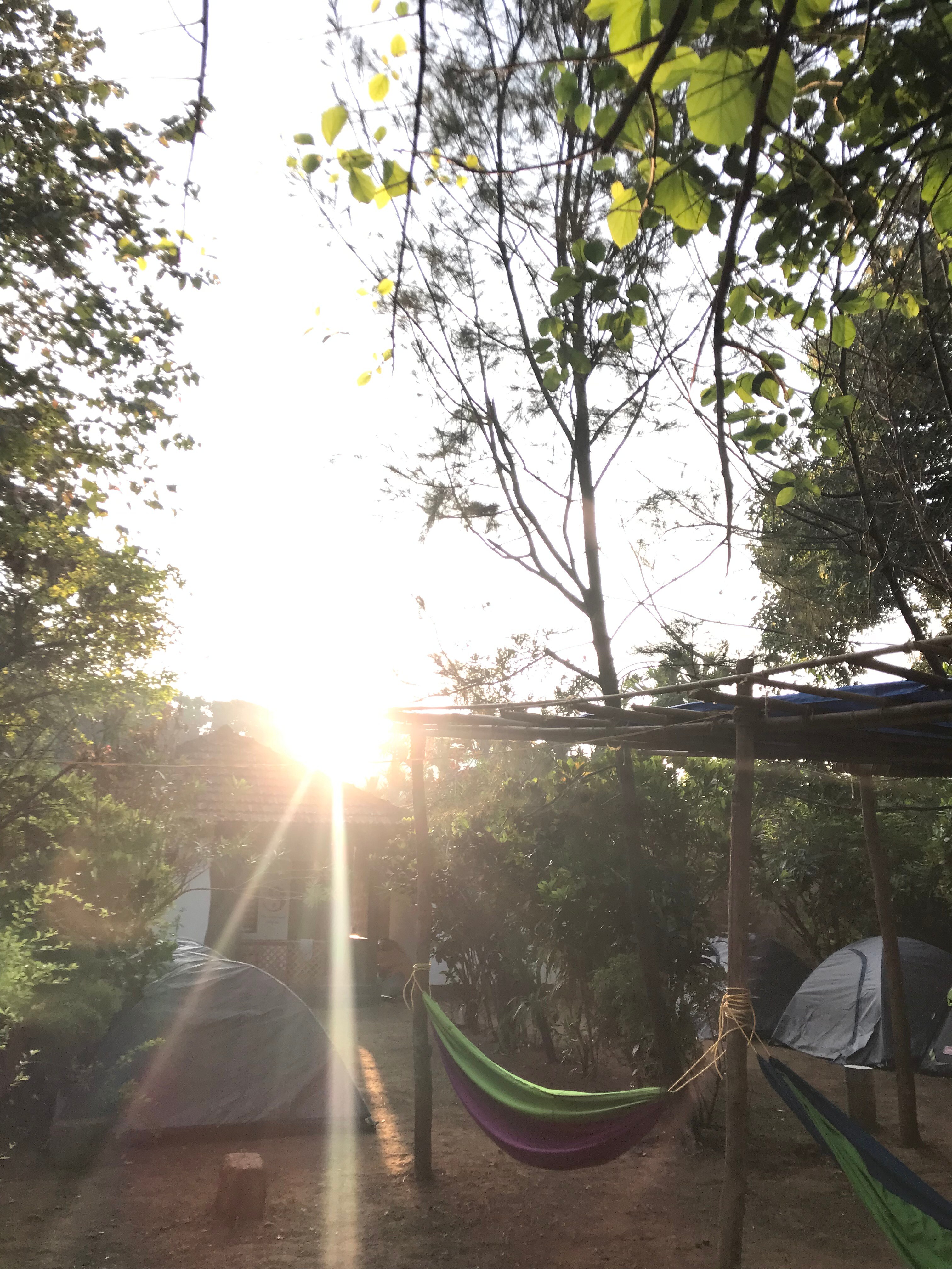Tusker Tribe Hostel - Tap to explore photos