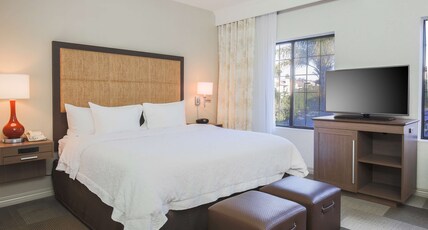 Hampton Inn And Suites Camarillo Room Type - 1KNG STUDIO SOFABED NOSMOK