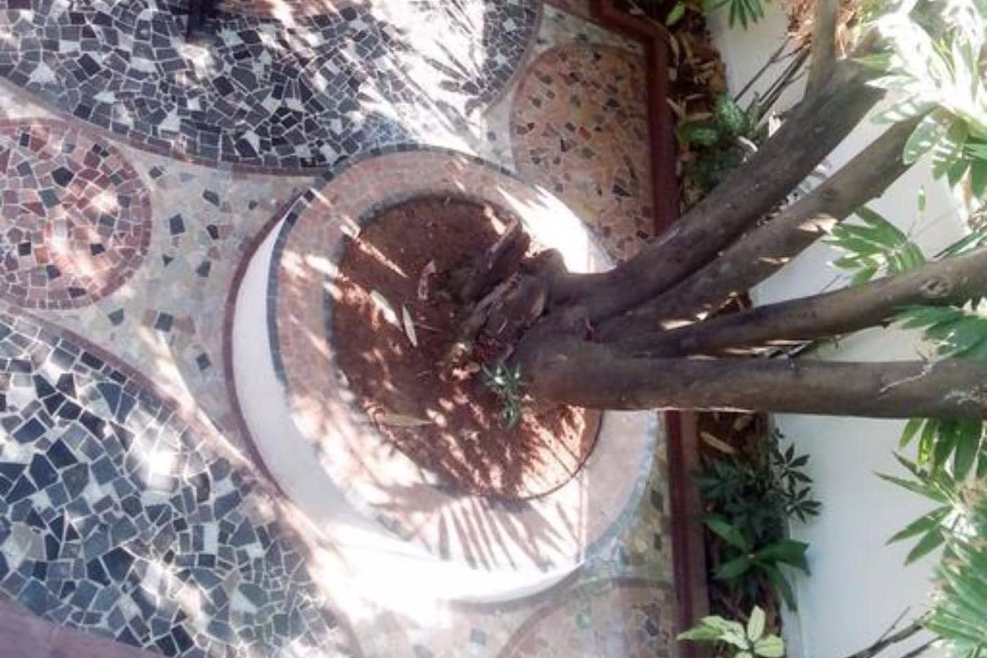 WelcomHeritage Panjim Pousada - Tap to explore photos