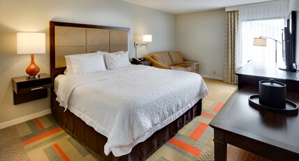 Hampton Inn by Hilton Harrisonburg - University Room Type - 1 KING STUDY SOFABED