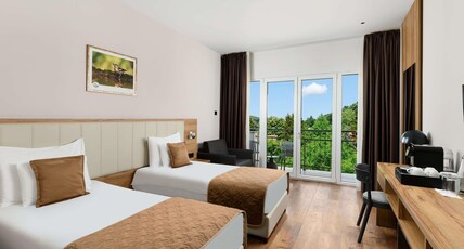 M Room Type - Superior Room with 2 beds, balcony and Pool View