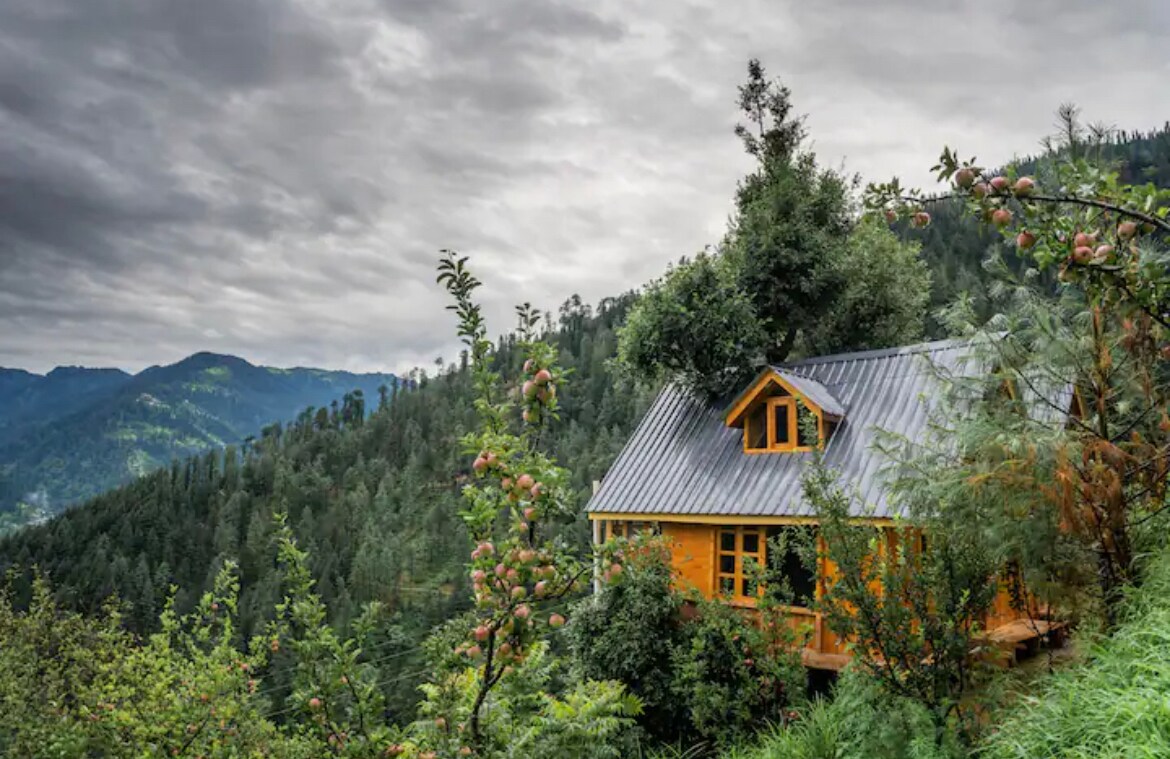 THE TREE HOUSE JIBHI,Swastika Aashiyana - Tap to explore photos